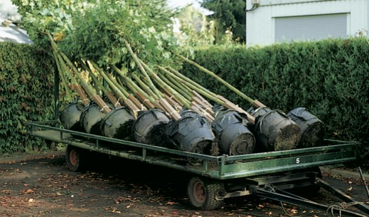 Verladung und Transport